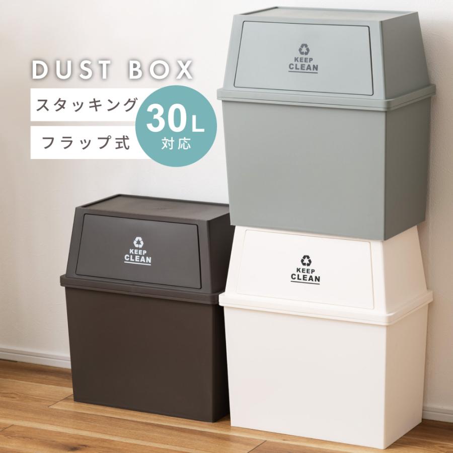東谷 ゴミ箱 30リットル おしゃれ 分別 ごみ箱 屋外 ダストボックス 蓋