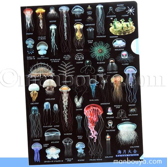 A4クリアファイル クラゲグッズ おもしろ文房具 くらげの図鑑 海月大全