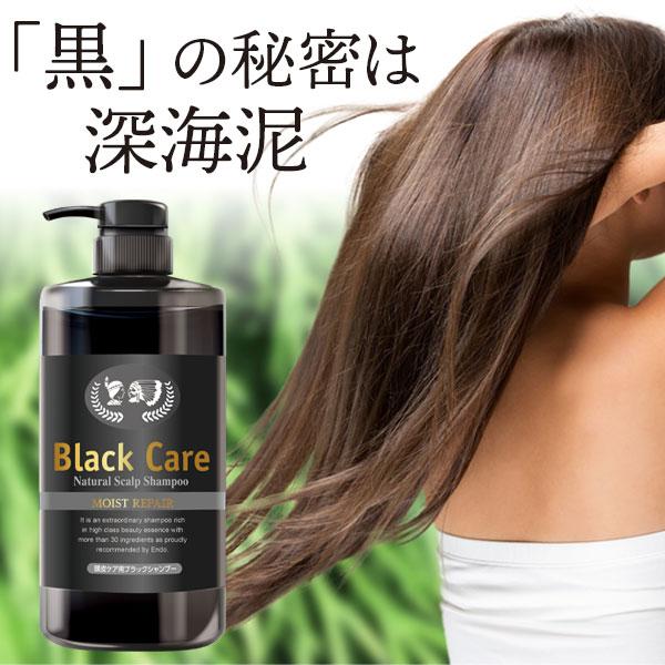 Black Care ブラックケアシャンプーKD 600ml 1本 リンス不要 頭皮ケア