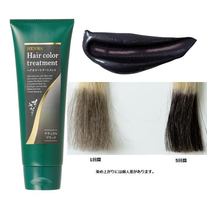 生活の木 ヘアカラートリートメント ナチュラルブラック 200g