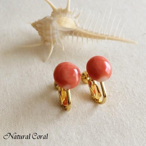 桃珊瑚 ももさんご サンゴ イヤリング 円盤 ナチュラルコーラル : 珊瑚