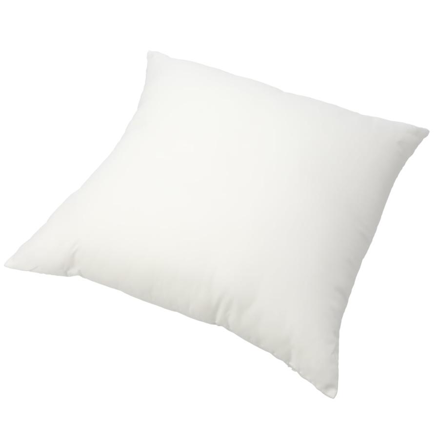 ニトリ（NITORI） ヌードクッション(フンワリツツミコム2 45x45