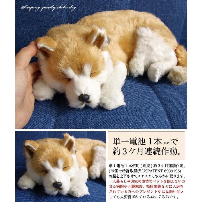 ニニアンドキノ パーフェクトペット (大サイズ) 柴犬 ぬいぐるみ 犬
