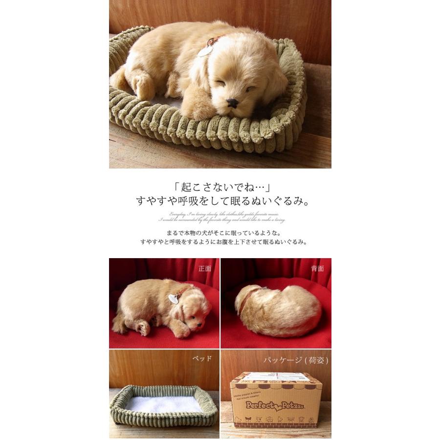 ニニアンドキノ パーフェクトペット (小サイズ) レトリバー ぬいぐるみ