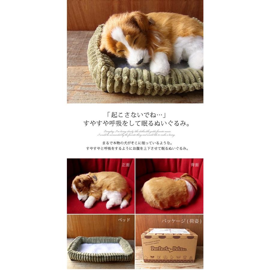 ニニアンドキノ パーフェクトペット (小サイズ) コリー シェルティ