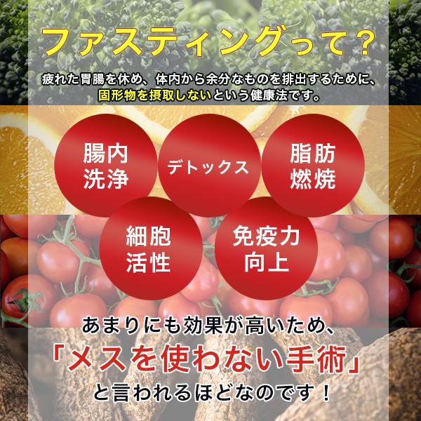 マナ酵素 ファスティングライフ MANA酵素 プログラム付き 酵素飲料