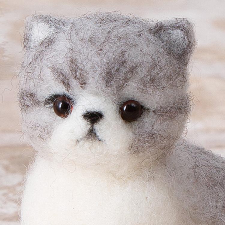 エキゾチックショートヘア 手作りキット フェルト手芸 子ねこ エキショ
