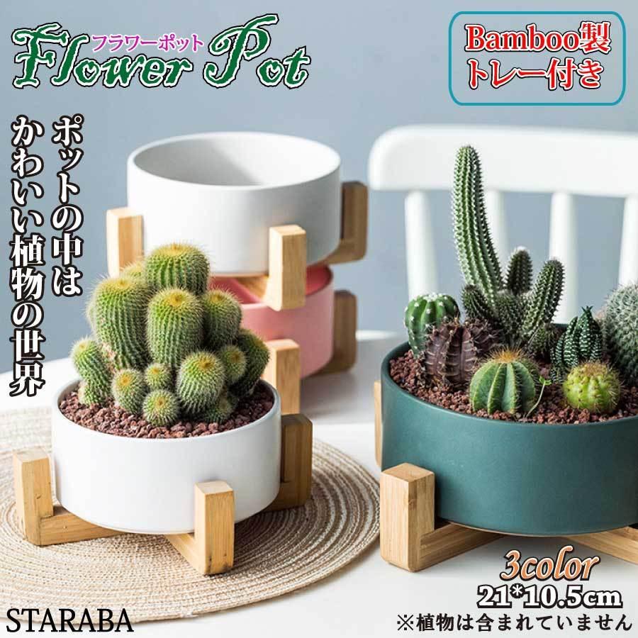 寄せ植え 植木鉢 プランタ 鉢 多肉植物鉢 サボテン鉢 竹トレー付き