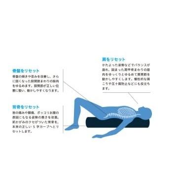 ストレッチポール（StretchPole） ストレッチポールEX(イエロー)株式