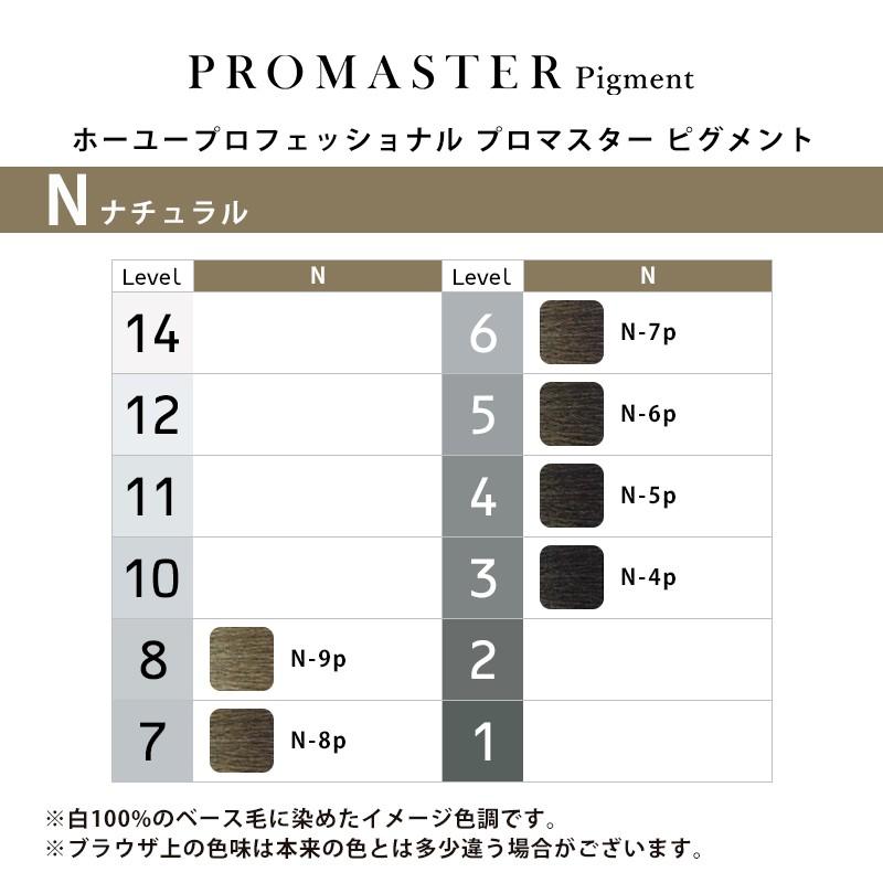 hoyu（ホーユー） プロフェッショナル プロマスター ピグメント