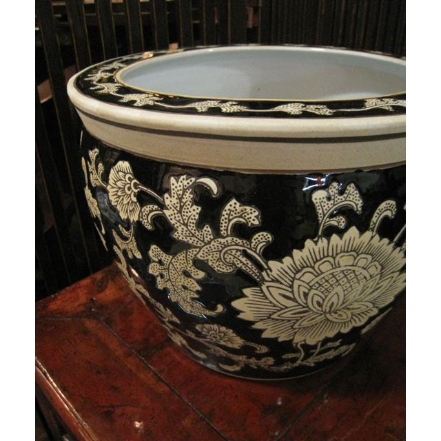 水鉢 睡蓮鉢 陶器 めだか鉢 ハス鉢 青花丸大魚洋蓮鉢 黒 中