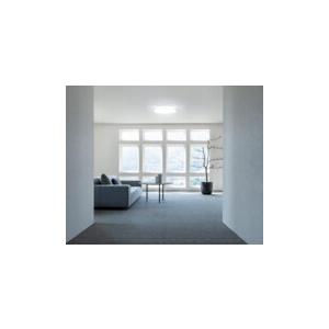 ODELIC（オーデリック） シーリングライト 【OL291579R】【OL 291 579R