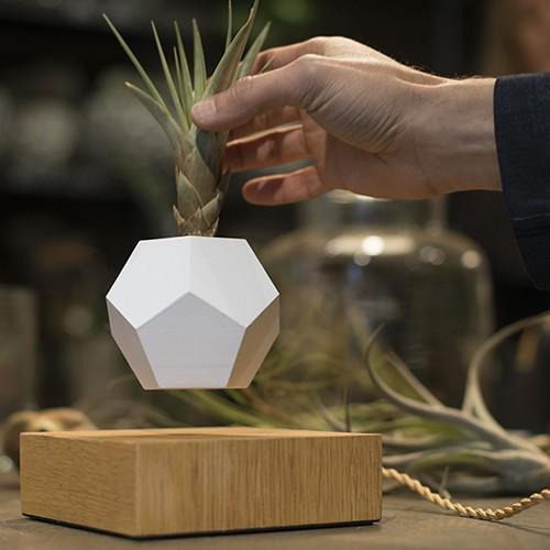 FLYTE(フライト)LYFE ライフ : YAMAGIWA - 通販 - Yahoo!ショッピング