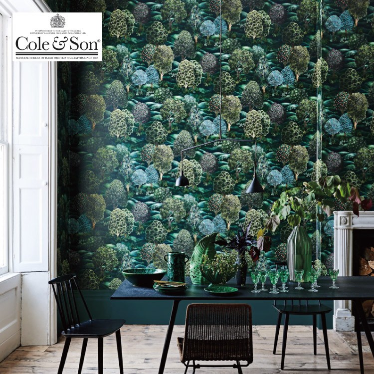 kabecolle_tecs1159028