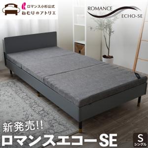 日本ヘルス工業 ヘルスロールキング（シングル）ヘルスロール