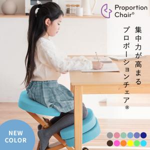 旧型リボ社製バランスチェア・イージー：アフターパーツ／膝クッション