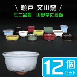 盆栽鉢 植木鉢 「瀬戸焼文山窯絵付鉢4点セット」 絵鉢 絵付鉢 3号10cm