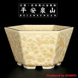 盆栽鉢 「紀伊染付山水図楕円鉢」 植木鉢 絵付鉢 作家鉢 磁器 呉須 共