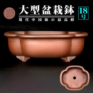 盆栽鉢 紫泥外縁下紐楕円鉢 植木鉢 中国鉢 張氏製陶 落款あり 17号