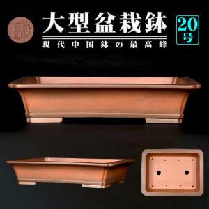 盆栽鉢 烏泥外縁下紐楕円鉢 植木鉢 中国鉢 張氏製陶 落款あり 15号