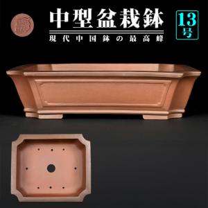 盆栽鉢 柴勝外縁下紐木瓜式鉢 常滑 泥鉢 5号 紫泥 朱泥 小品盆栽 ミニ