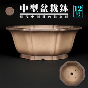 盆栽鉢 植木鉢 「紫泥外縁雲足長方鉢」 陶器 5号 16cm 焼締 尚古堂型