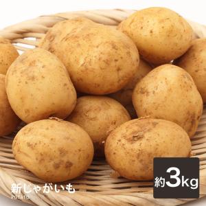 訳あり じゃがいも ジャガイモ 送料無料 1kg メークイン 野菜 わけあり