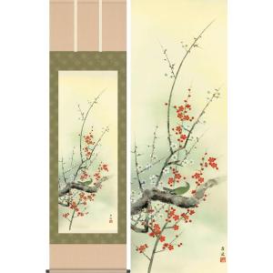 掛軸 (掛け軸) 春用 紅白梅に鶯 北条静香 尺五立 約横54.5cm×縦190cm