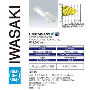 岩崎電気 送料無料 岩崎 ECF22101/VWSAN8 (ECF22101VWSAN8 ) LED投光器