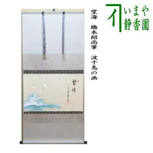 茶道具 掛軸 掛け軸 横軸画賛 大綱和尚遺詠の歌 足立泰道筆 瀧の画