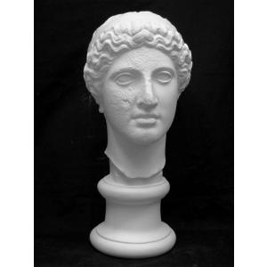 S−204 古代ヴィーナス首像（アバタのヴィーナス） : 石膏像ドット