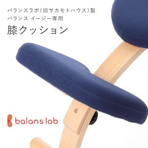 旧型リボ社製バランスチェア・イージー：アフターパーツ／膝クッション