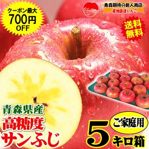 セール！りんご 3kg箱 青森 リンゴ サンふじ 家庭用 送料無料 訳あり 3