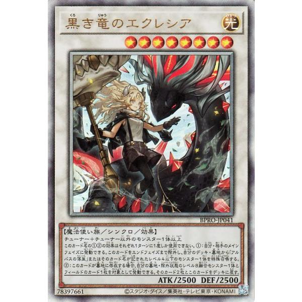 card-museum_bpro-jp041-rr