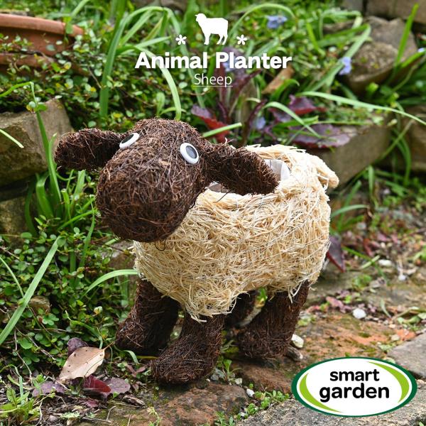 ガーデンアニマルプランター ひつじ 鉢カバー ポット ガーデニング