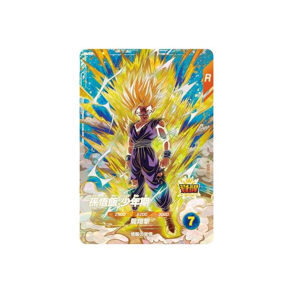 BANDAI（バンダイ） ドラゴンボールスーパーダイバーズ SDV5-076 孫悟