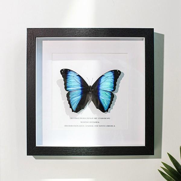 フォトフレーム 立体額 ボックスフレーム 中空 クリアフレーム 額縁