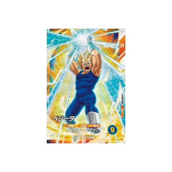 karintou-shop_sdv6-033