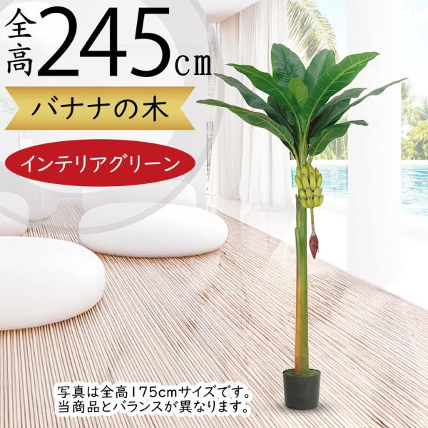 バナナの木 インテリアグリーン 大型 人気 フェイクグリーン おしゃれ