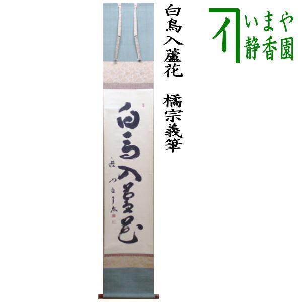 茶道具 掛軸 掛け軸 一行 白鳥入蘆花 橘宗義筆 茶道 : 茶道具いまや