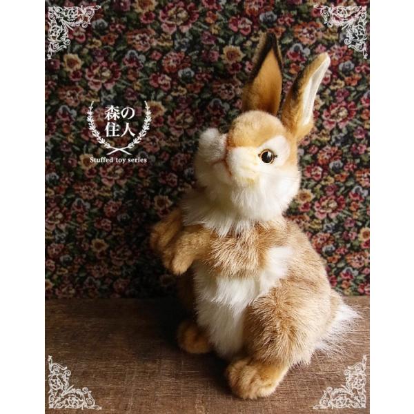 niniquino_n-cn-bh3316