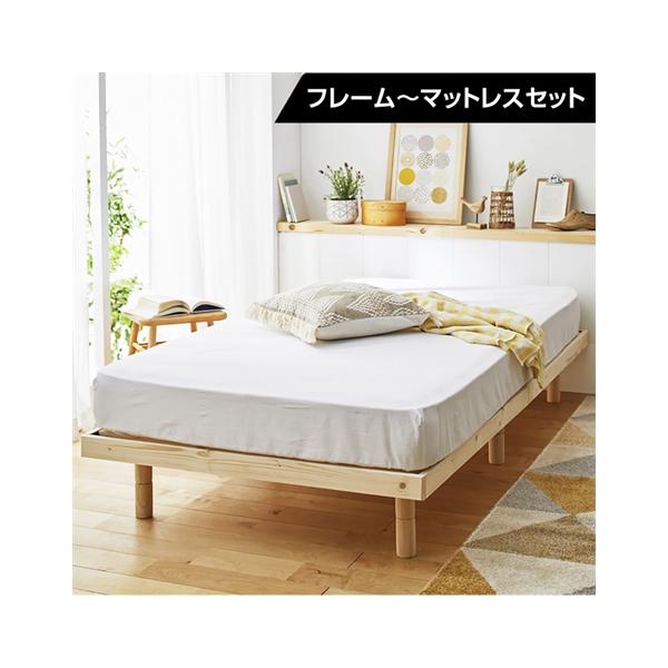 nissenzai_zzy4020a0002