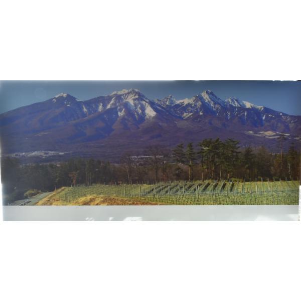 鉄道模型 ジオラマレイアウト用背景画60cm【八ヶ岳】 : コレクターズ