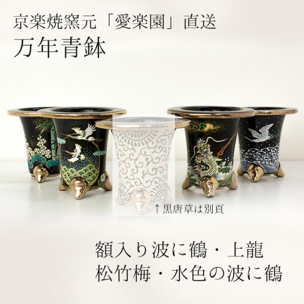 ◇京楽焼窯元「愛楽園」直送◇『万年青鉢（おもと鉢） 額入り波に鶴