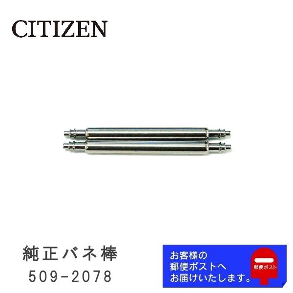CITIZEN（シチズン） 純正 バネ棒 1.6mm / 20mm 腕時計ベルト 取り付け
