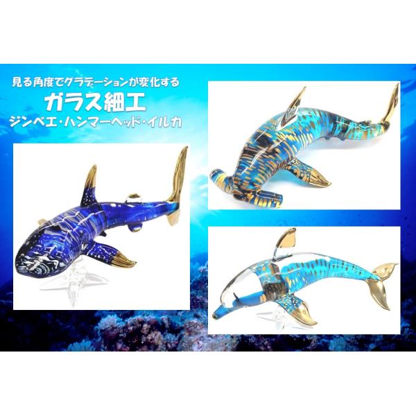 海の生き物 ガラス細工 ジンベエザメ ハンマーヘッドシャーク イルカ