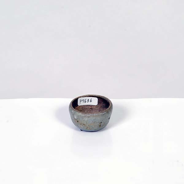 現代小鉢：和雀(わじゃく)丸鉢 4cm【現品】*資材 : 遊恵盆栽 Yahoo