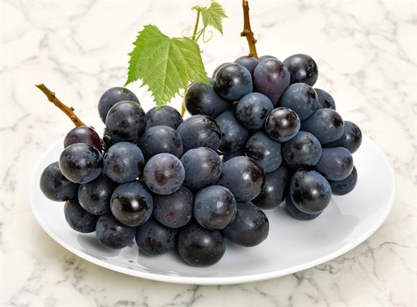 商品詳細ページ