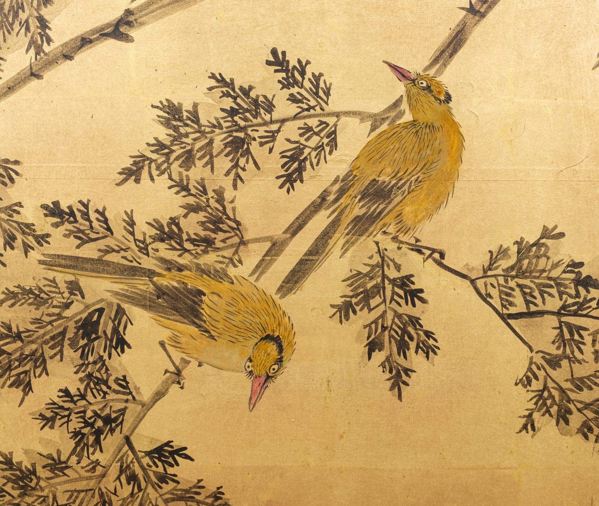 Tall 6-panel screen with pine tree & birds on gold leaf - Japanese