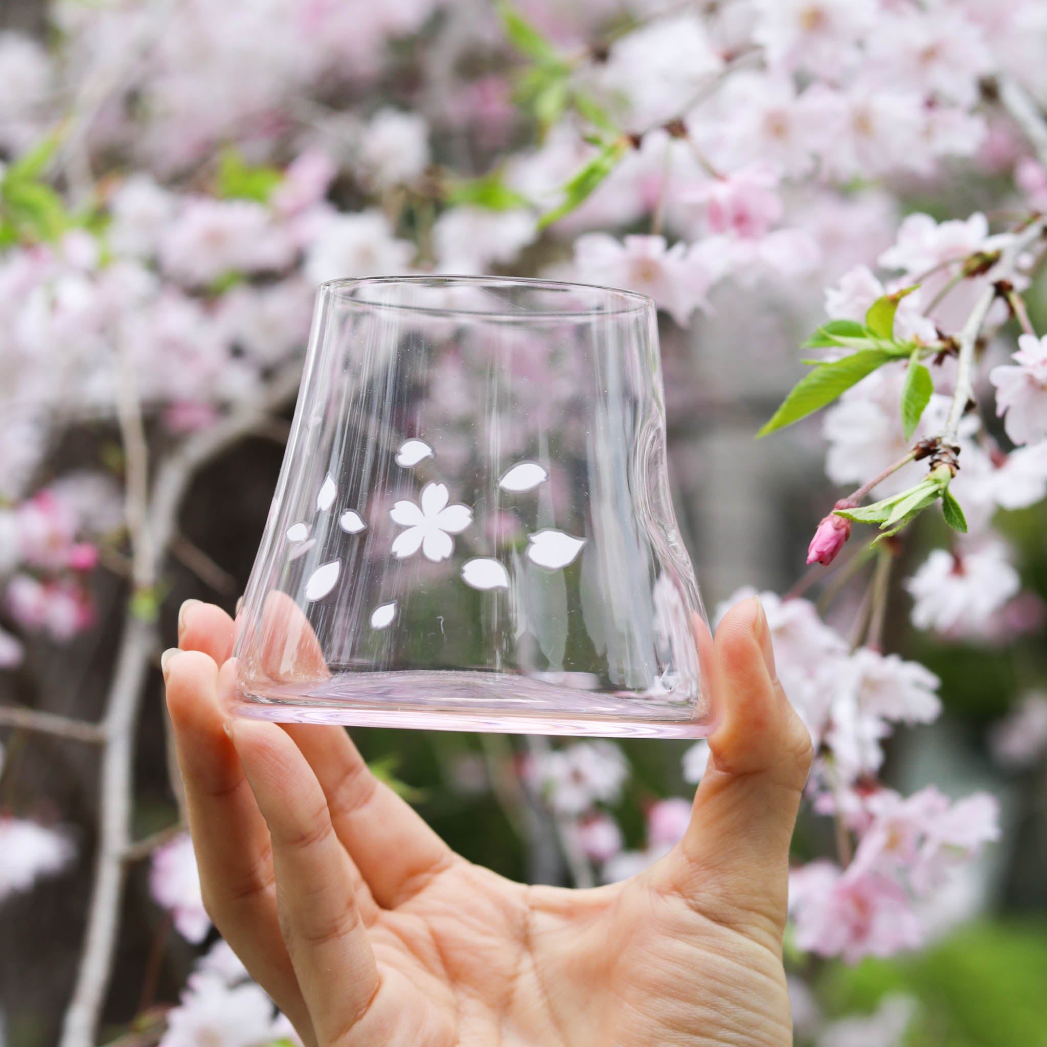 MY-MA-7_5.jpg?crop=center&